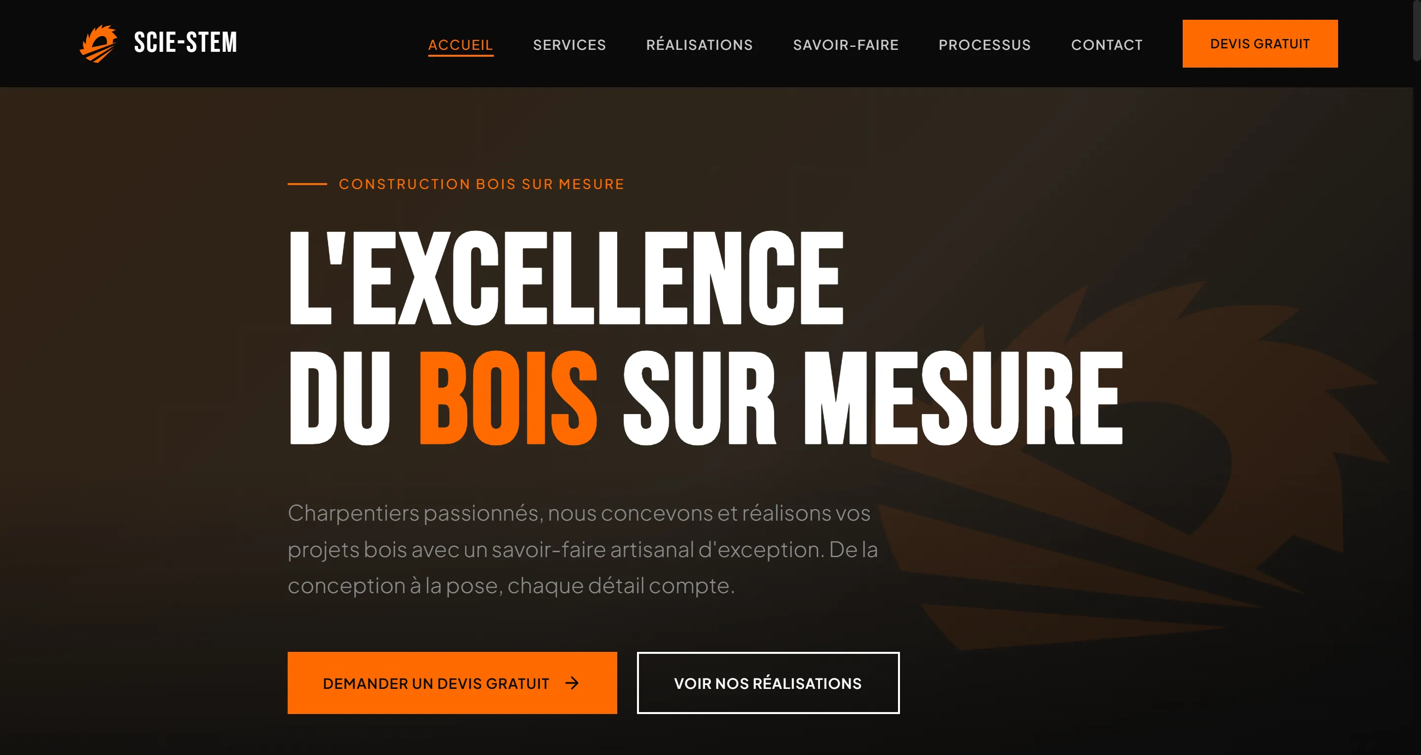 Site vitrine Scie-Stem, identité visuelle sur-mesure par ShiftyX