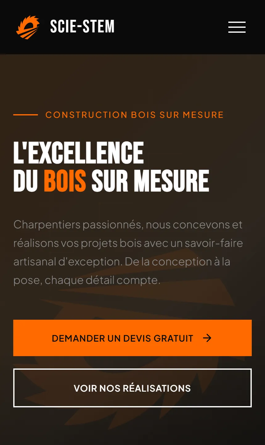 Site vitrine Scie-Stem, identité visuelle sur-mesure par ShiftyX